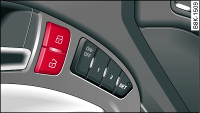 Driver's door: Central locking switch